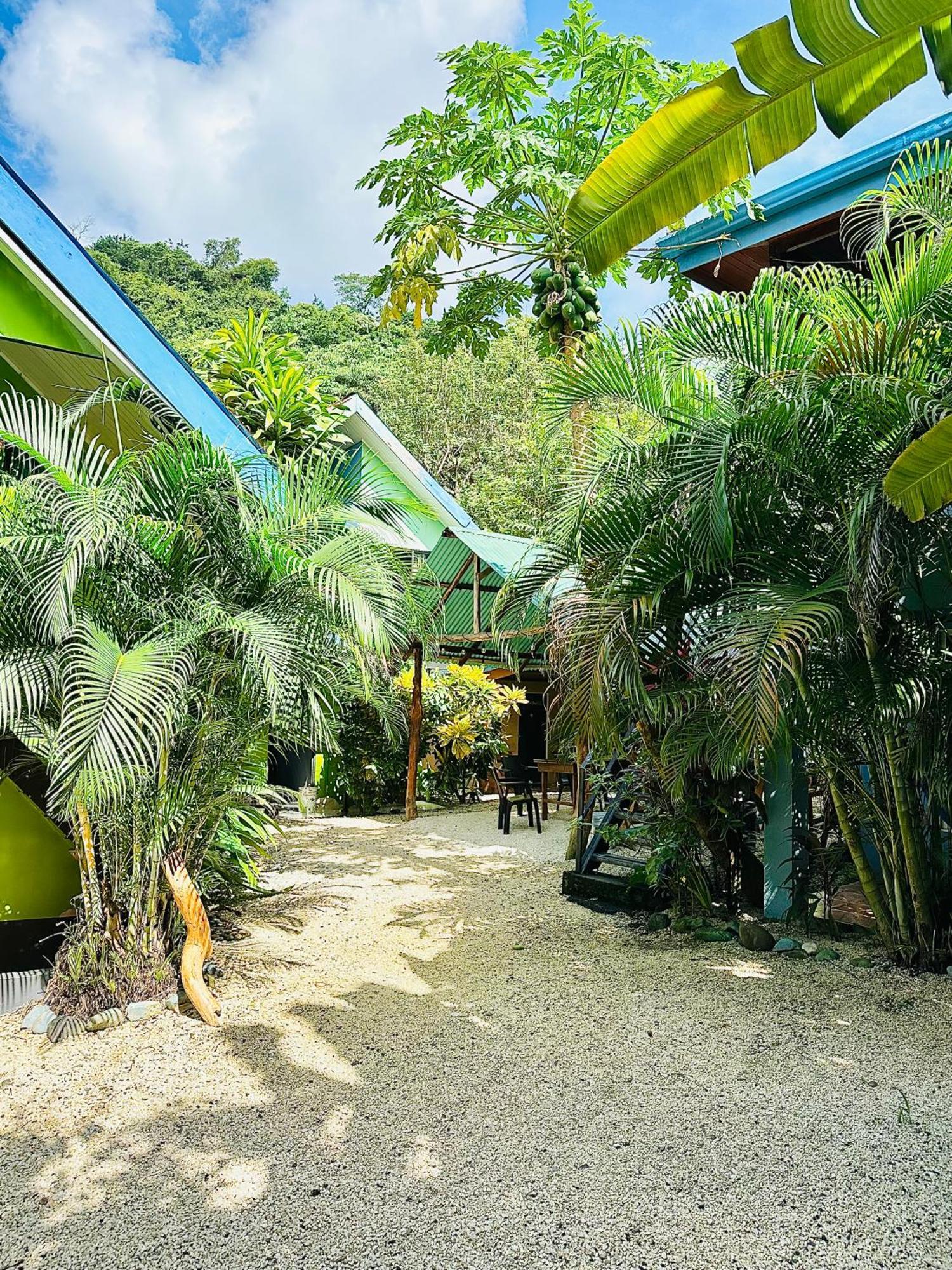 Surf Paradise Playa Santa Teresa  エクステリア 写真