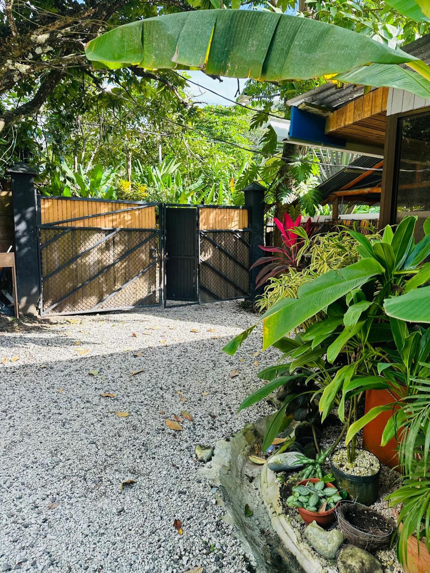 Surf Paradise Playa Santa Teresa  エクステリア 写真