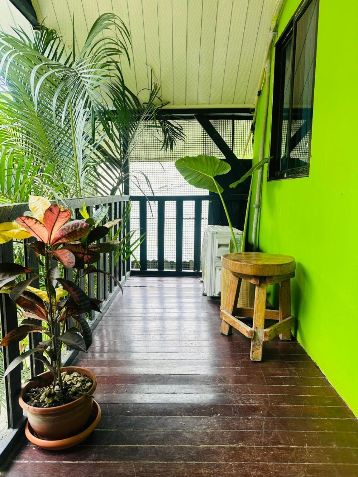 Surf Paradise Playa Santa Teresa  エクステリア 写真
