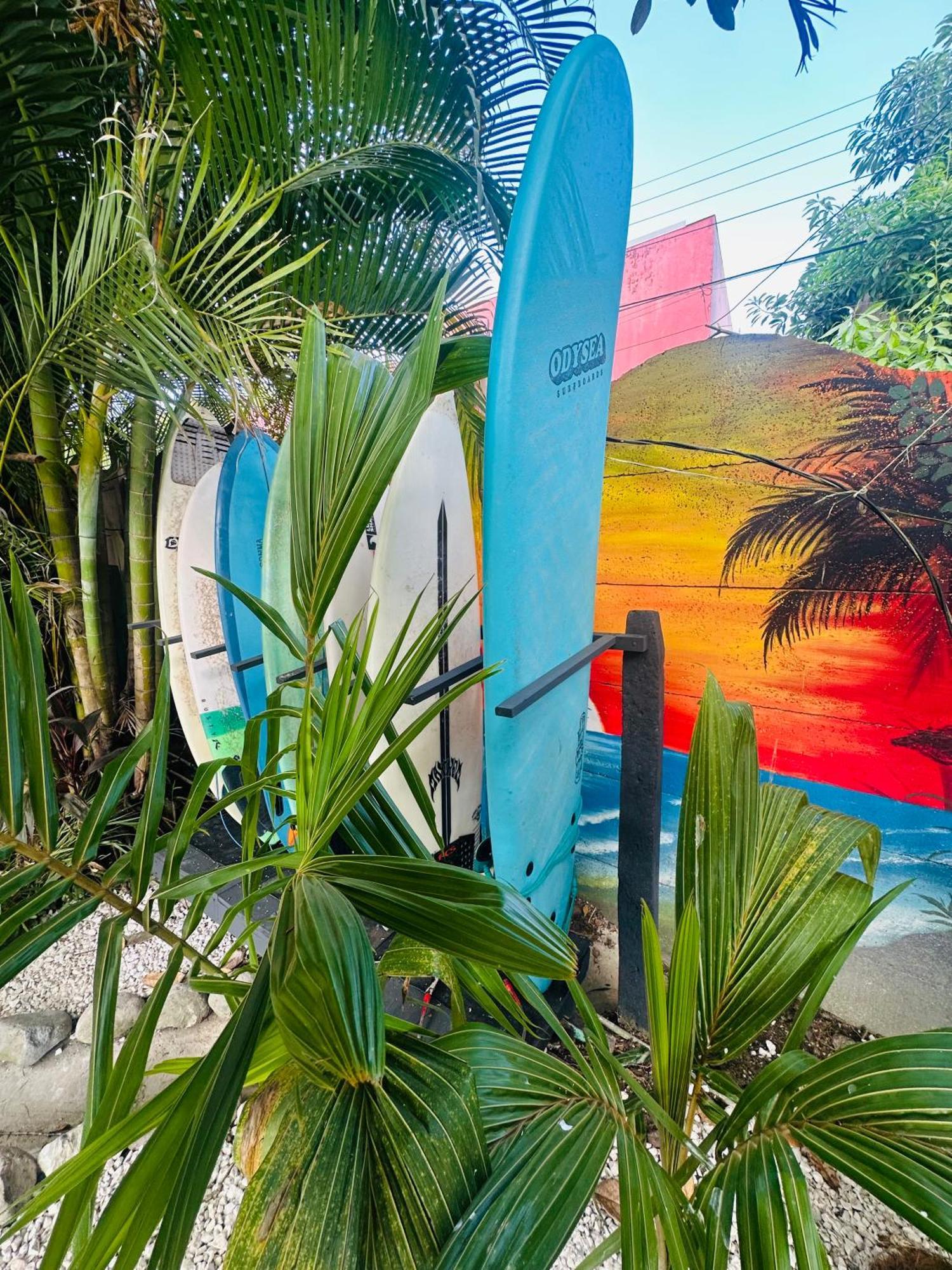 Surf Paradise Playa Santa Teresa  エクステリア 写真